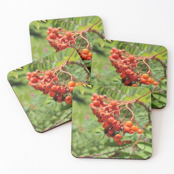 Item preview, Red wild berries birds love rowan  designed and sold by tshuki.