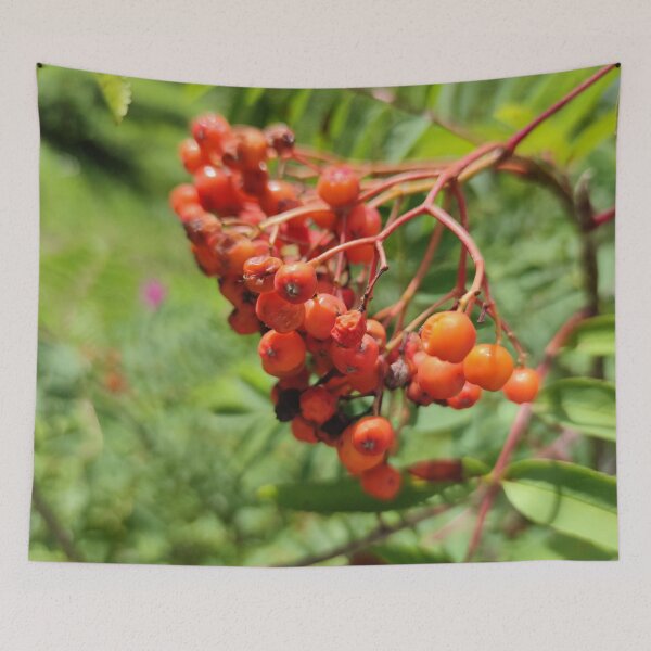 Item preview, Red wild berries birds love rowan  designed and sold by tshuki.