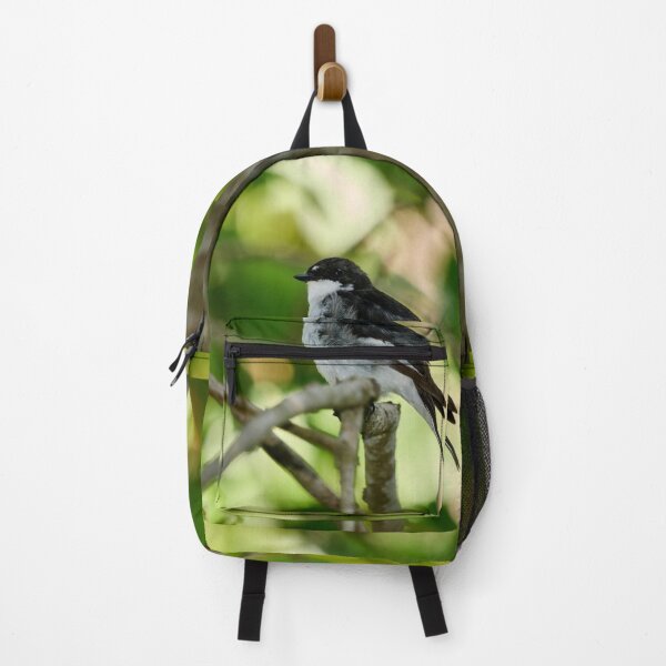 Item preview, The stress of the summer shows. European pied flycatcher designed and sold by Jouko Lehto Photography.