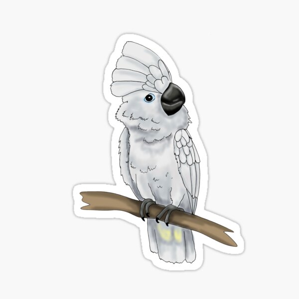 Umbrella Cockatoo Sticker