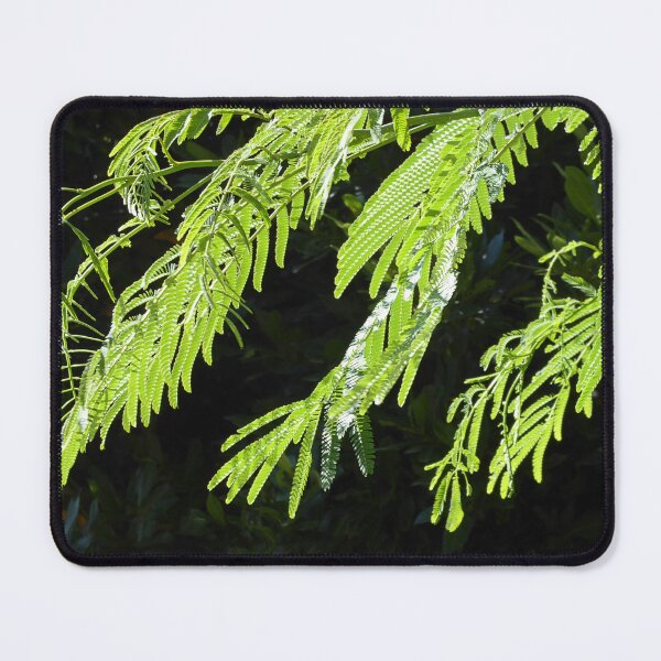 Item preview, Reaching out designed and sold by Paul Pasco.