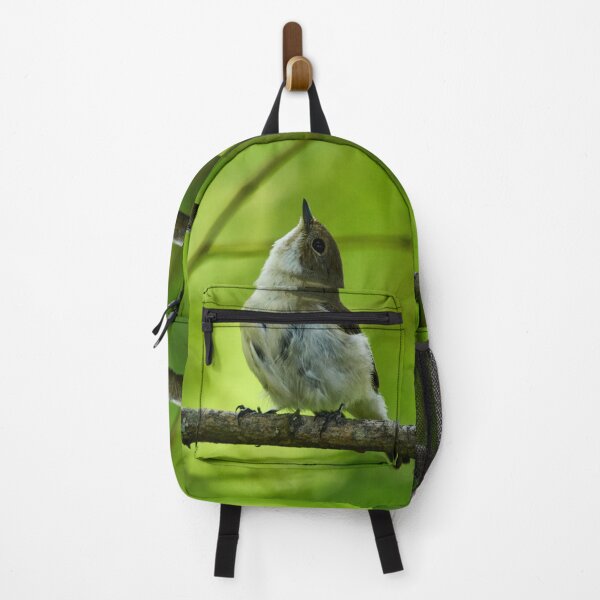 Item preview, Some help please. European pied flycatcher designed and sold by Jouko Lehto Photography.