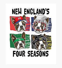 The Four Seasons of New England Sports Dogs Photographic Print