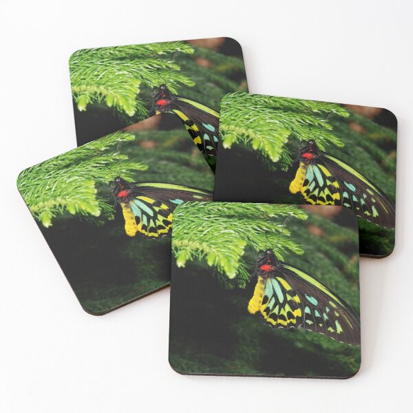 Item preview, Cairns Birdwing Butterfly designed and sold by phelanartwork67.