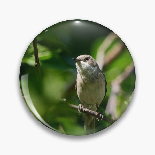 Item preview, Bush life 2. Lesser whitethroat designed and sold by Jouko Lehto Photography.