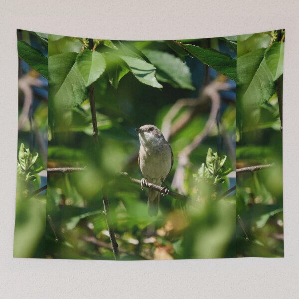 Item preview, Bush life 2. Lesser whitethroat designed and sold by Jouko Lehto Photography.