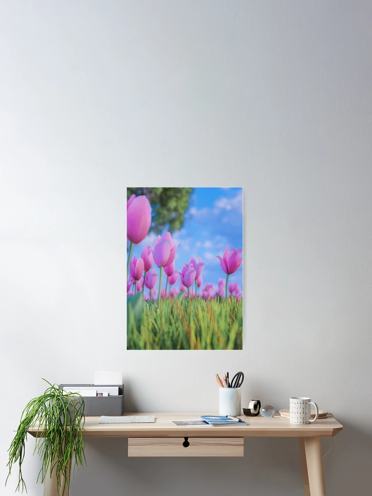Thumbnail 2 of 3, Poster, Spring Roses designed and sold by Heeeeeey.