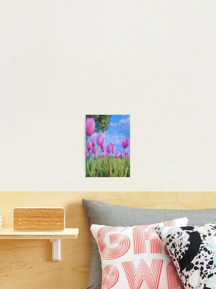 Thumbnail 2 of 3, Photographic Print, Spring Roses designed and sold by Heeeeeey.