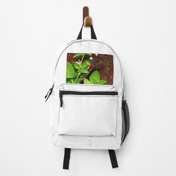 Item preview, Purplish Copper Butterfly designed and sold by phelanartwork67.