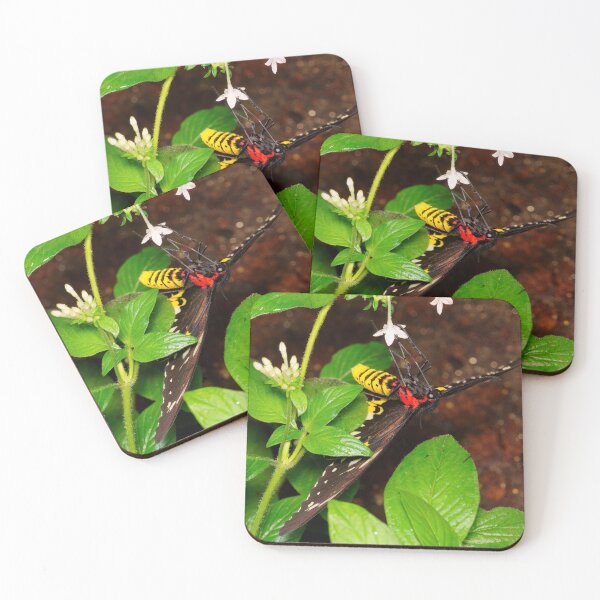 Item preview, Purplish Copper Butterfly designed and sold by phelanartwork67.