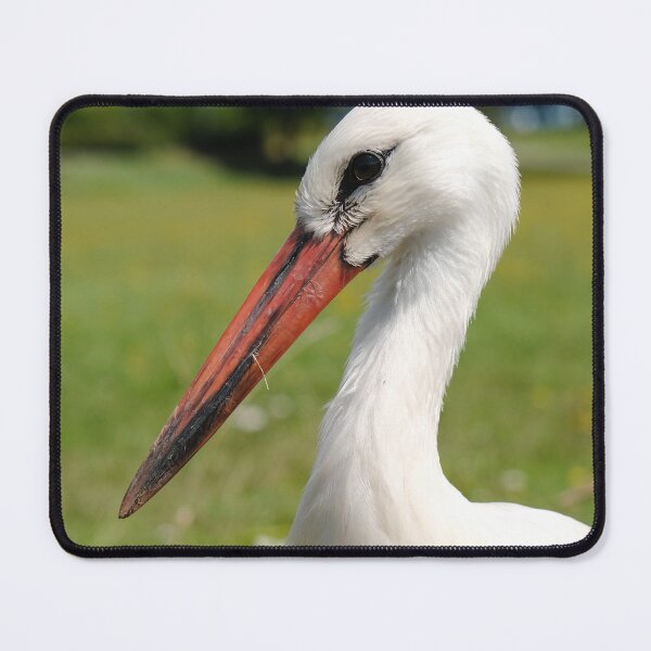 Item preview, stork designed and sold by DejanVuk.