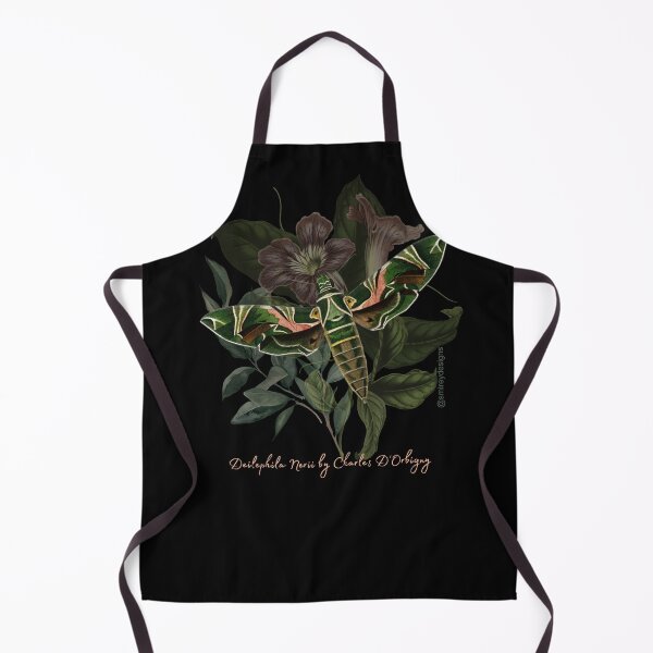 Item preview, Deilephia Nerii by Charles D'Orbigny designed and sold by smirey designs.