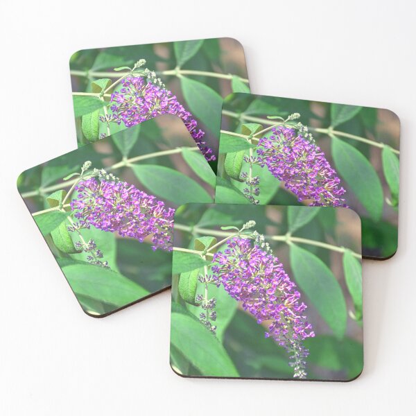 Item preview, Sunlit Butterfly Bush Bloom designed and sold by LisaWootenPhoto.
