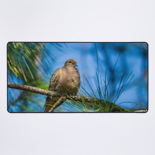 Item preview, Majestic Dove With A Blue Sky designed and sold by TinyDinoDesigns.