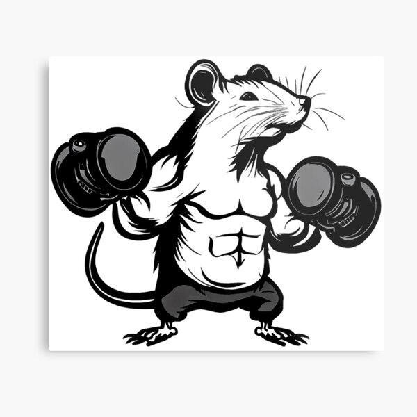 Gym Rat Stock Illustrations – 121 Gym Rat Stock Illustrations, Vectors &  Clipart - Dreamstime