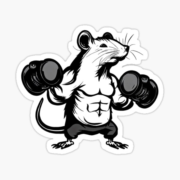 Gym Rat Stock Illustration - Download Image Now - Rat, Cartoon