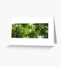 Green Forest Canopy Greeting Card