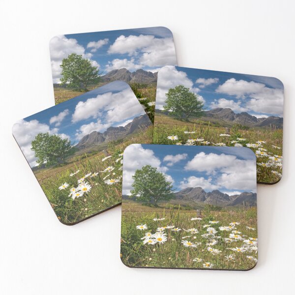 Item preview, Blaven Summer Flowers, Isle of Skye Scotland. designed and sold by PhotosEcosse.