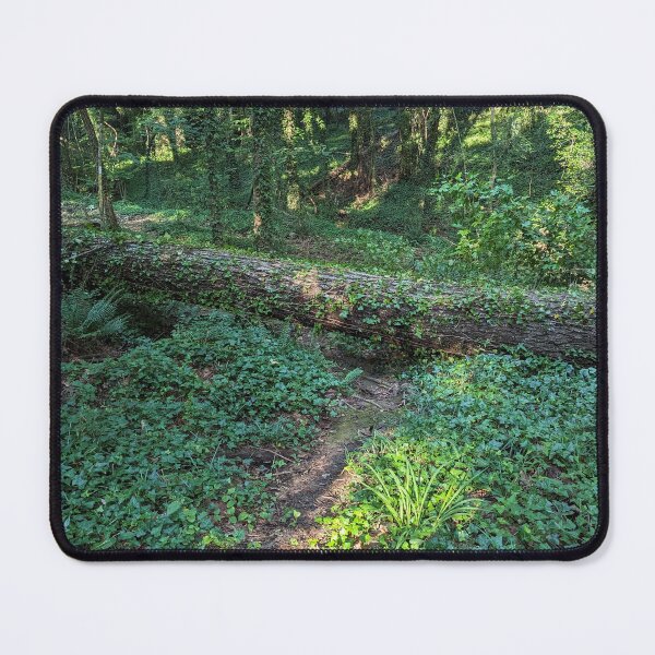 Item preview, White Trail at Theron Ussery Park designed and sold by ShannonDemarArt.