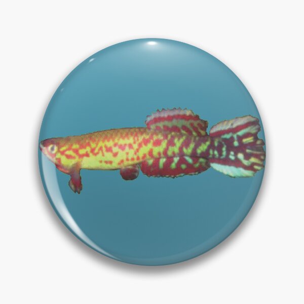 Item preview, geryi  Abuko -Killifish designed and sold by killies.