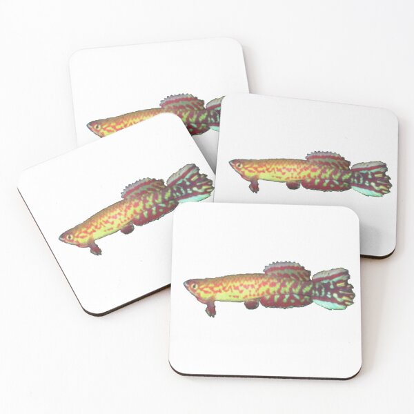 Item preview, geryi  Abuko -Killifish designed and sold by killies.