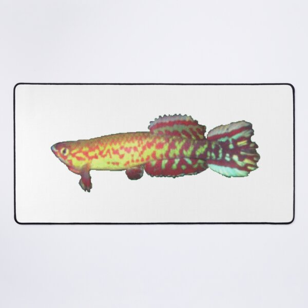 Item preview, geryi  Abuko -Killifish designed and sold by killies.