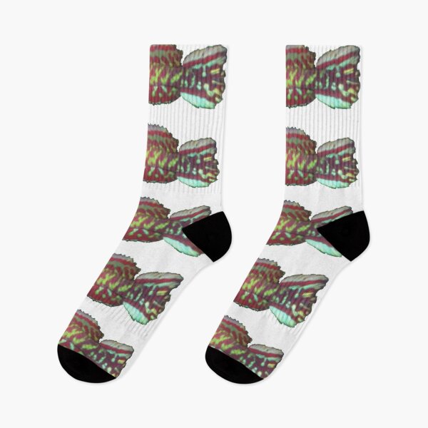 Item preview, geryi  Abuko -Killifish designed and sold by killies.