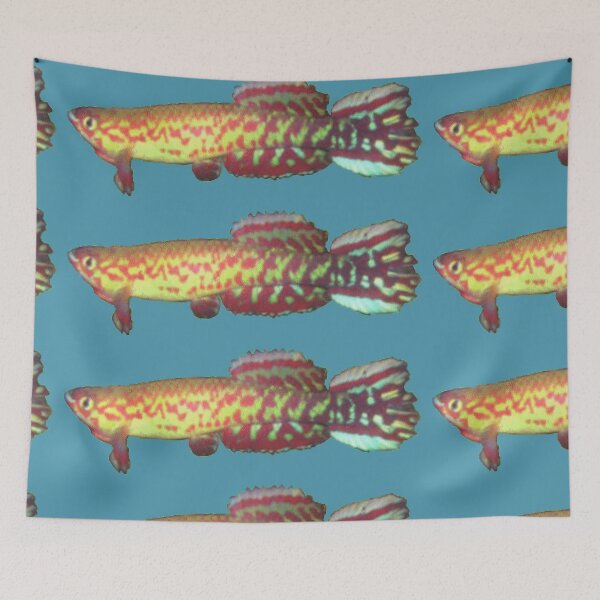 Item preview, geryi  Abuko -Killifish designed and sold by killies.