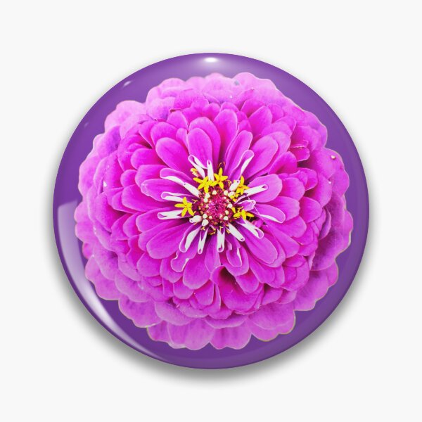 Item preview, Pink Zinnia Flower - purple background designed and sold by Louise-Mae.