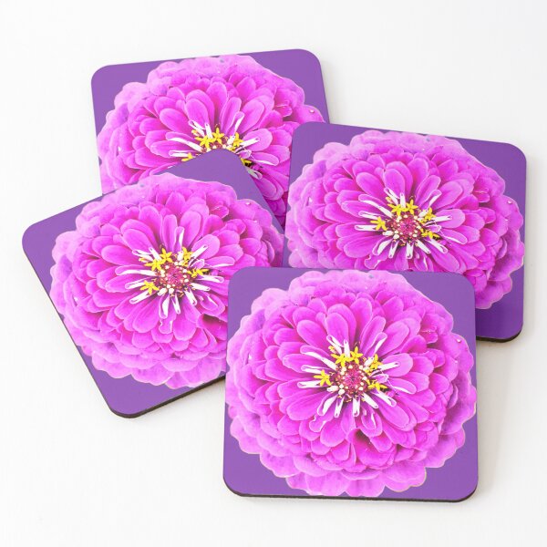 Item preview, Pink Zinnia Flower - purple background designed and sold by Louise-Mae.