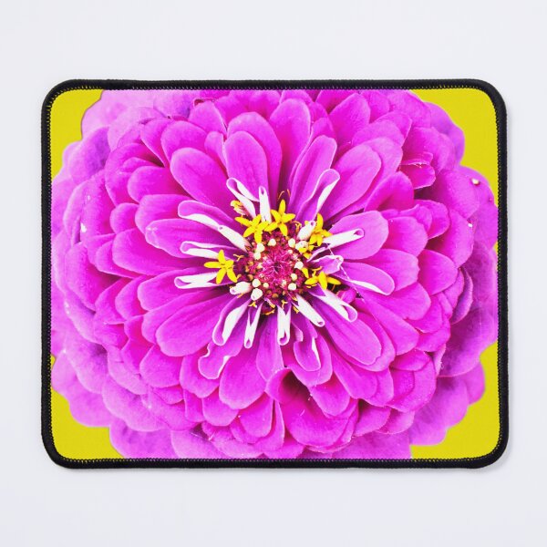 Item preview, Pink Zinnia Flower - yellow background designed and sold by Louise-Mae.