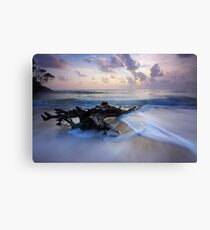 Beach Canvas Print