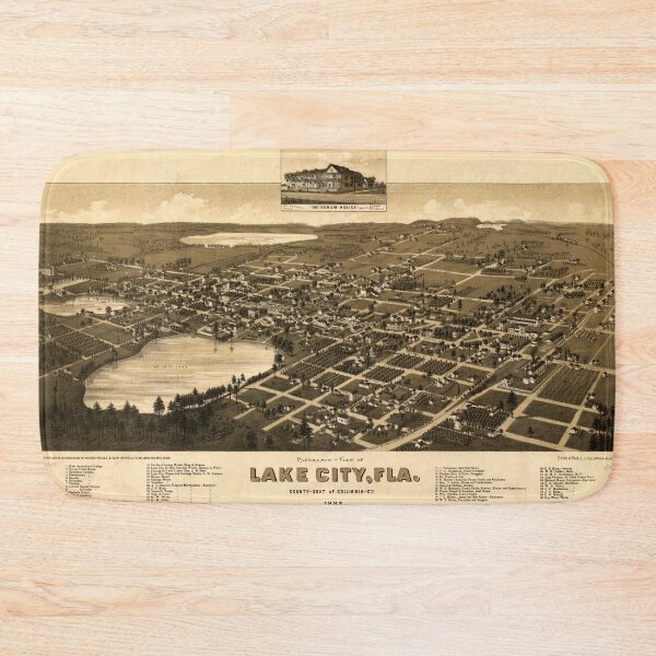Item preview, Lake City, Florida (1885) designed and sold by allhistory.