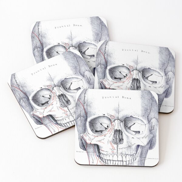 Item preview, Vintage Human Skull Anatomy Diagram (1887) designed and sold by BravuraMedia.