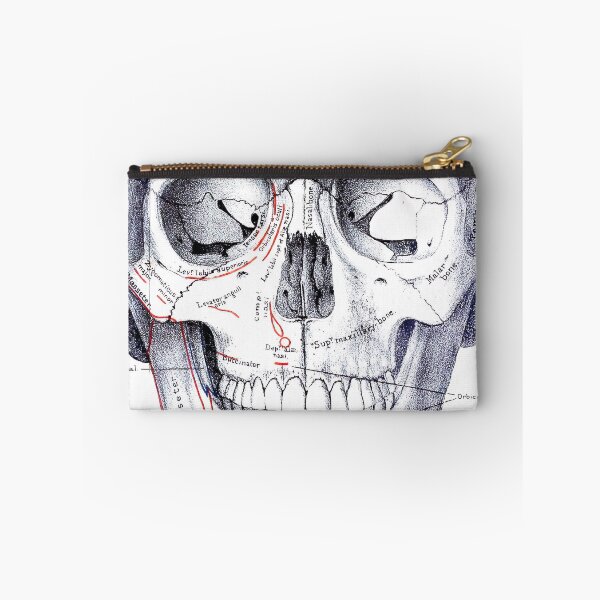 Item preview, Vintage Human Skull Anatomy Diagram (1887) designed and sold by BravuraMedia.