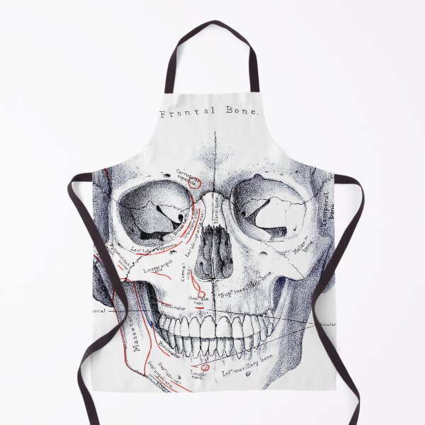 Item preview, Vintage Human Skull Anatomy Diagram (1887) designed and sold by BravuraMedia.