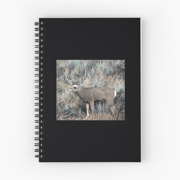 Item preview, Utah mule deer buck   	 designed and sold by gfhfigqfluc82.