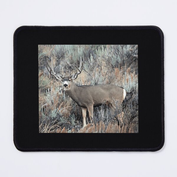 Item preview, Utah mule deer buck designed and sold by gfhfigqfluc82.