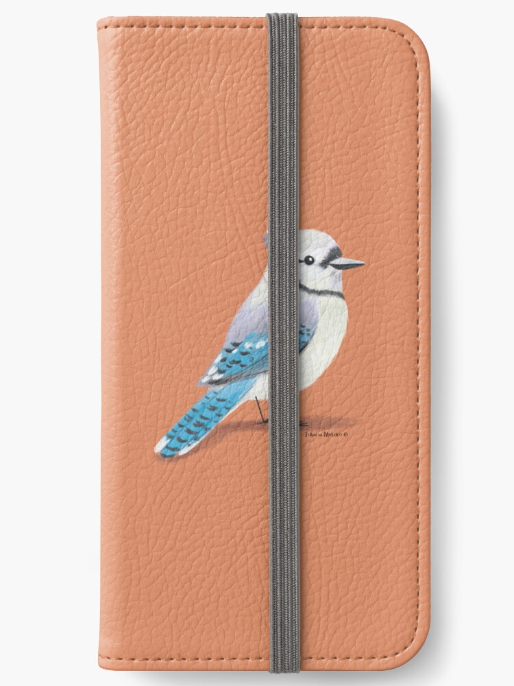 The Jay-Bird Wallet