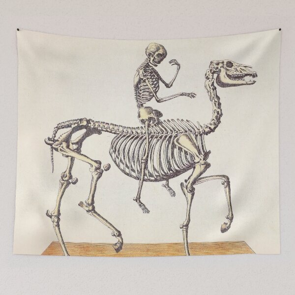 Item preview, Vintage Horse and Human Skeleton Illustration (1748) designed and sold by BravuraMedia.