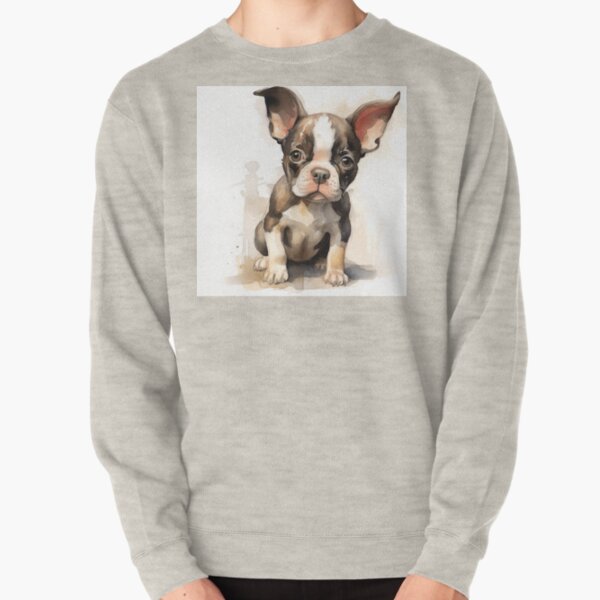 Boston shop terrier hoodies