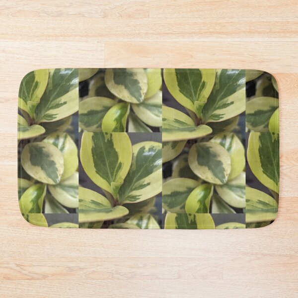 Item preview, Peperomia Citrus Twist designed and sold by FeistyDay.