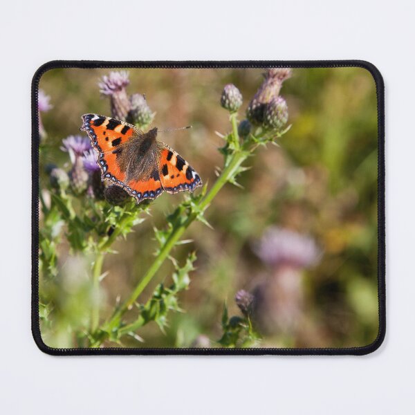Item preview, Small Tortoiseshell Butterfly designed and sold by Violaman.