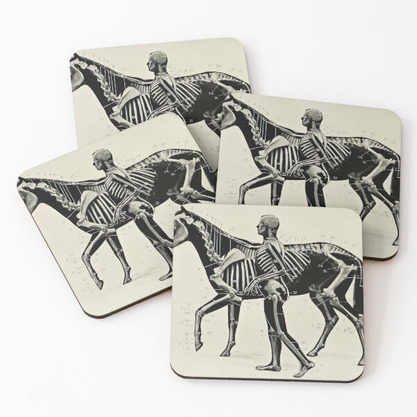 Item preview, Vintage Horse and Human Skeleton Diagram (1906) designed and sold by BravuraMedia.