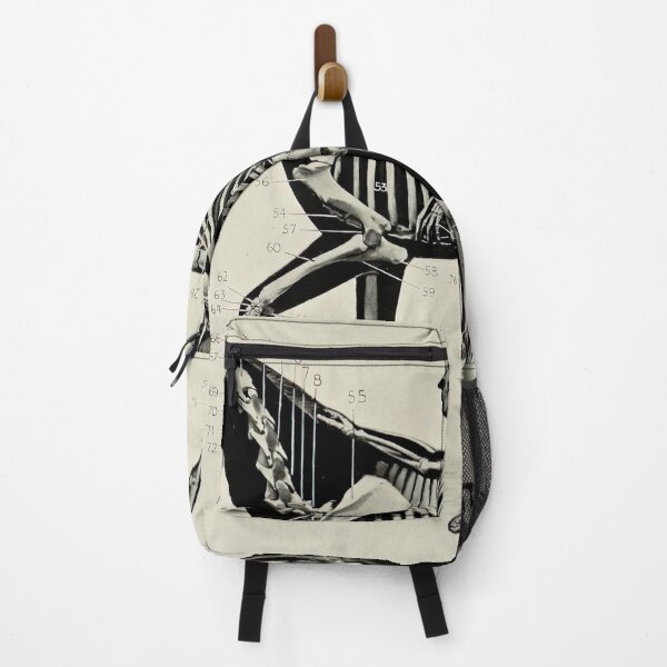 Item preview, Vintage Horse and Human Skeleton Diagram (1906) designed and sold by BravuraMedia.