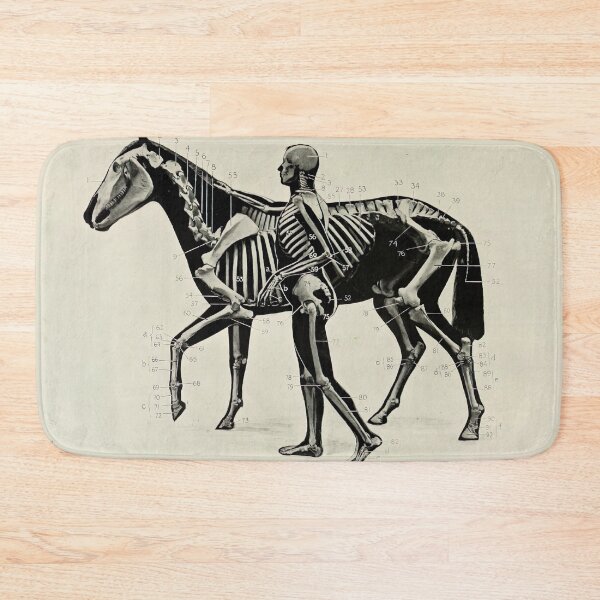 Item preview, Vintage Horse and Human Skeleton Diagram (1906) designed and sold by BravuraMedia.