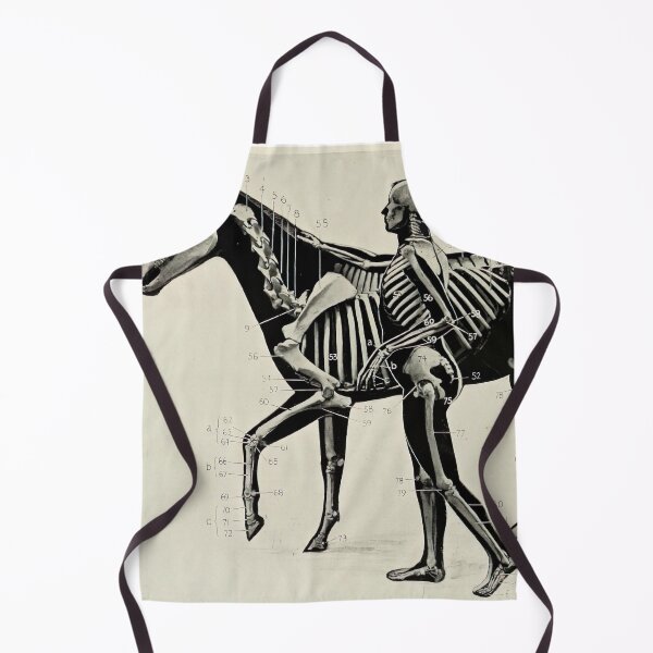 Item preview, Vintage Horse and Human Skeleton Diagram (1906) designed and sold by BravuraMedia.