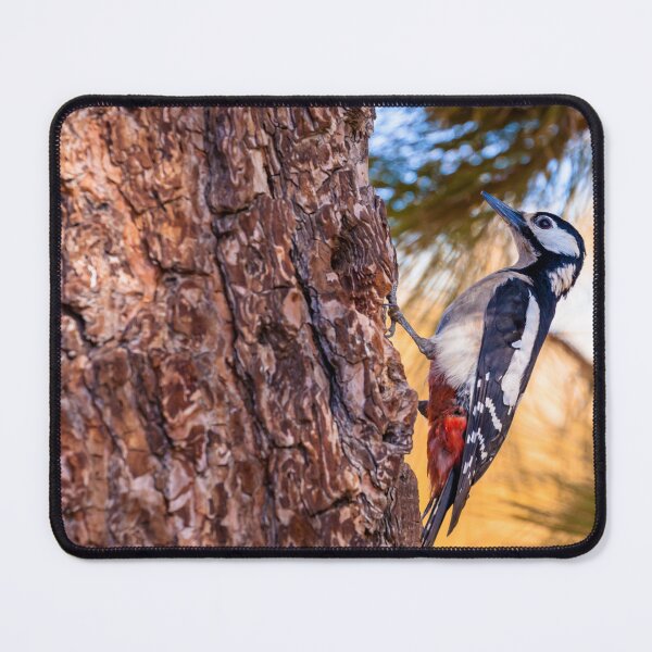 Item preview, Great Spotted Woodpecker looking for insects designed and sold by Dalyndigital Photography.