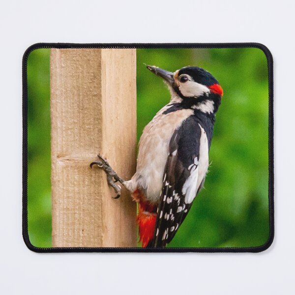 Item preview, Great Spotted Woodpecker on a post designed and sold by Dalyndigital Photography.