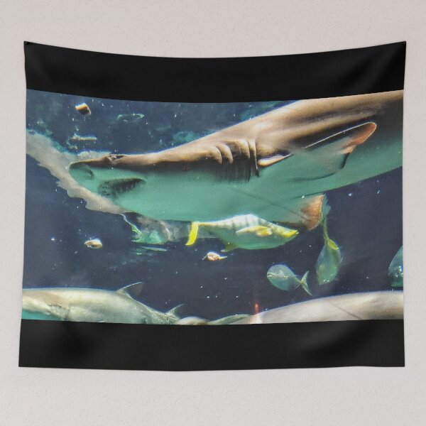 Item preview, Shark Reef designed and sold by missmermaid1990.